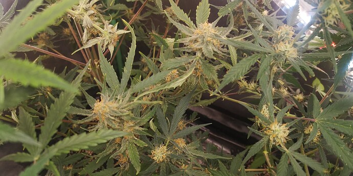 Growreport Bild 9