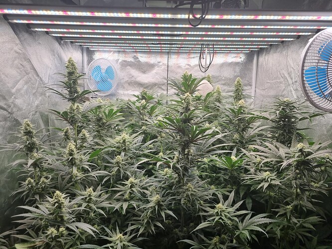 Growreport Bild 24