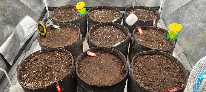 Growreport Bild 44