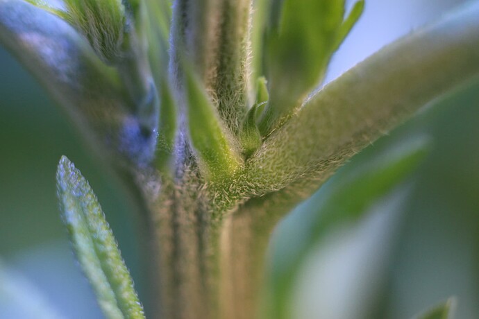 Growreport Bild 26