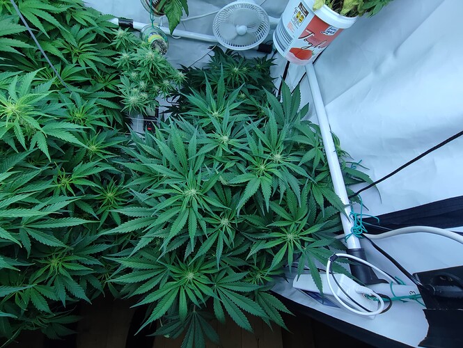 Growreport Bild 12