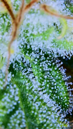 2023_01_13_11_58_15_282