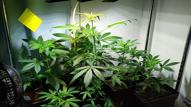 gruppe_2 Generationen