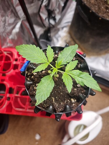 Growreport Bild 20