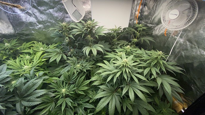 Growreport Bild 2