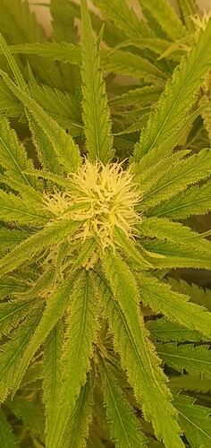 Growreport Bild 10