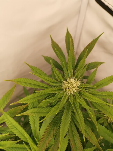 Growreport Bild 22