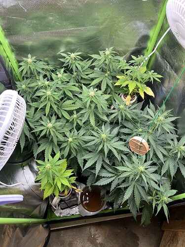 Growreport Bild 22