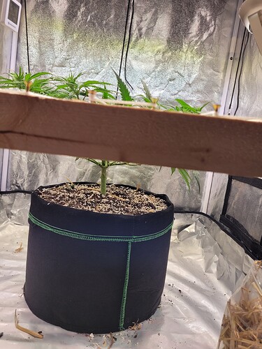 Growreport Bild 3