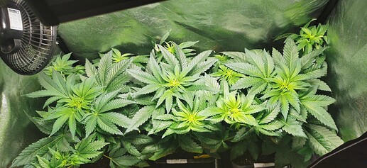 Growreport Bild 23