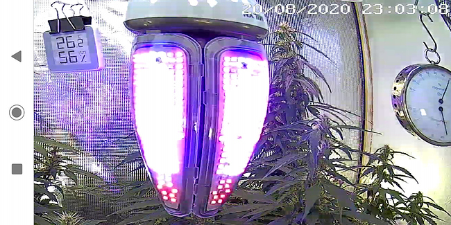 Growreport Bild 14