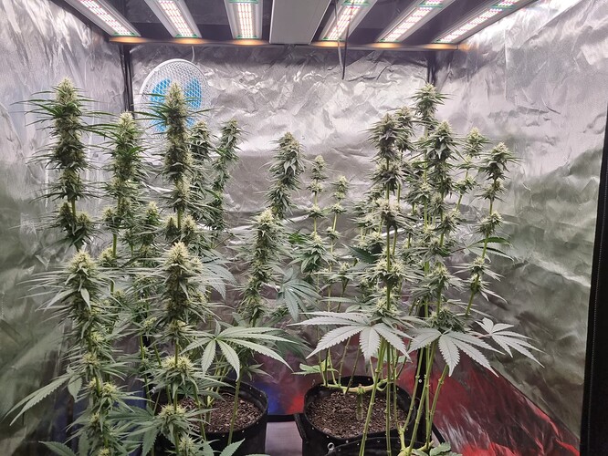 Growreport Bild 11