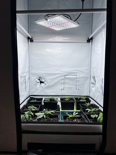 Growreport Bild 22