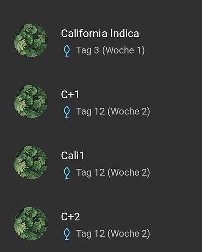 Screenshot_20220320-100515_Jane