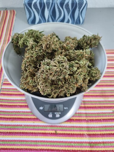 Growreport Bild 9