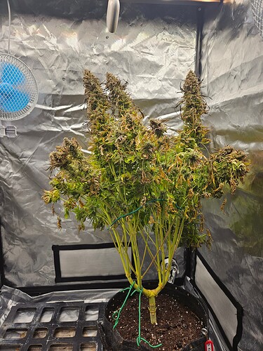 Growreport Bild 13