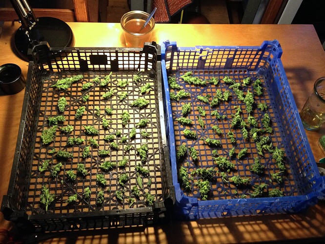 Growreport Bild 4