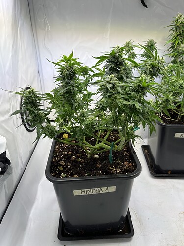 Growreport Bild 15
