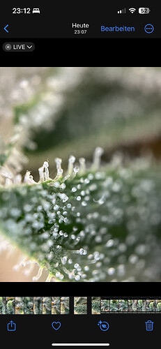Growreport Bild 42