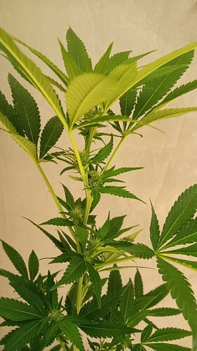 Growreport Bild 49