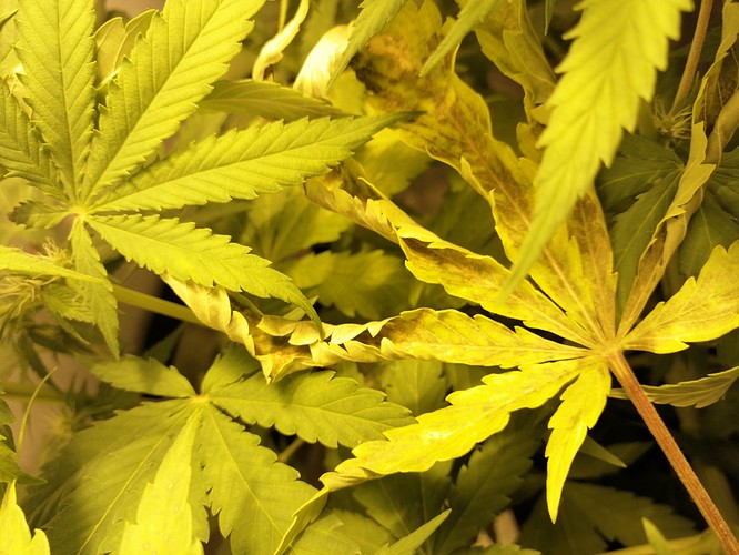 Growreport Bild 10