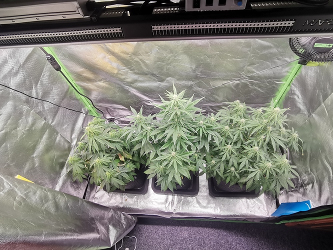 Growreport Bild 17