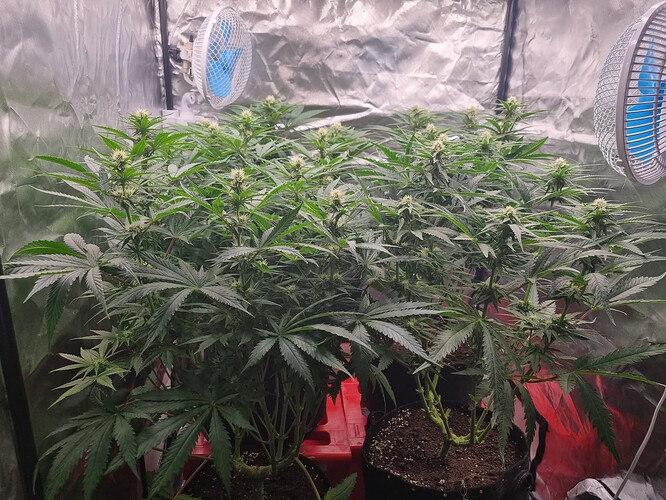 Growreport Bild 30