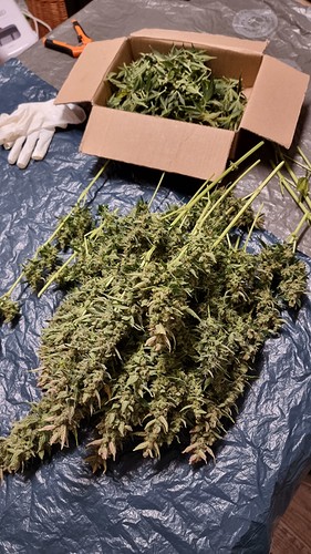 Growreport Bild 24