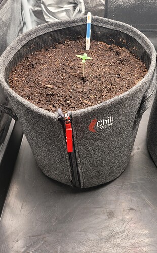 Growreport Bild 7
