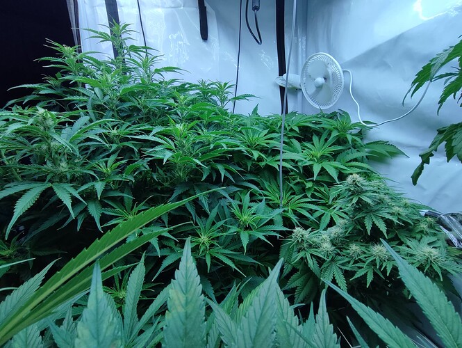 Growreport Bild 16