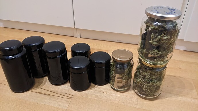 First Grow (Indoor) - Fast Bud Girl Scout Cookies