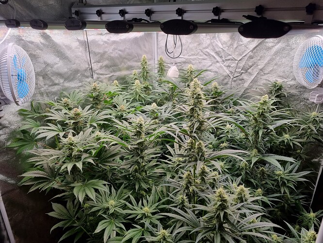 Growreport Bild 16