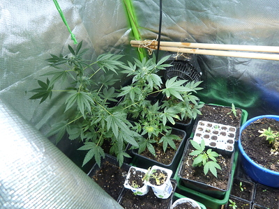 Growreport Bild 11
