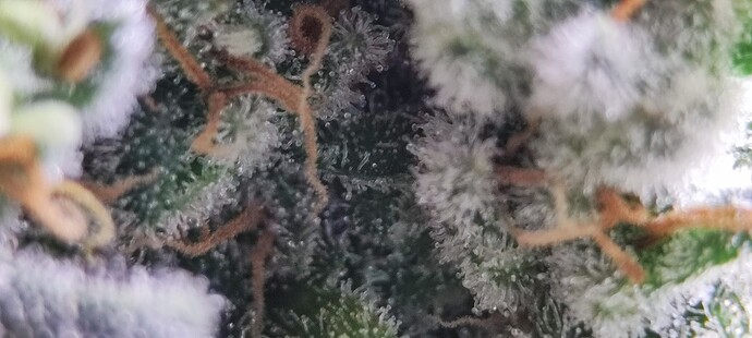 Growreport Bild 24