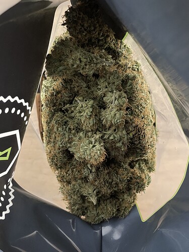 Growreport Bild 2