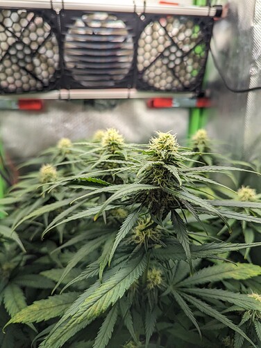 Growreport Bild 10