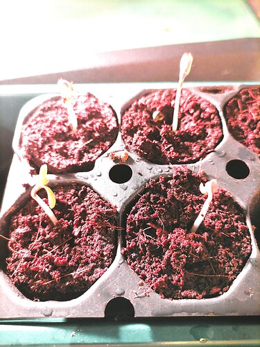 Growreport Bild 15