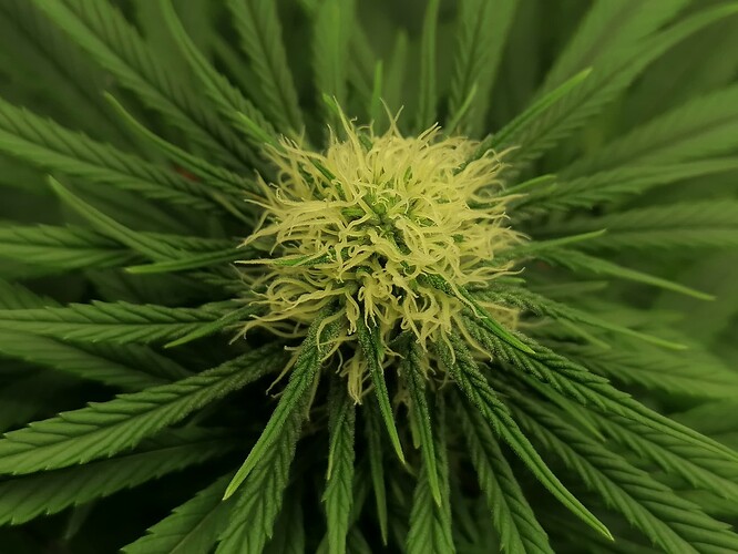 Growreport Bild 10