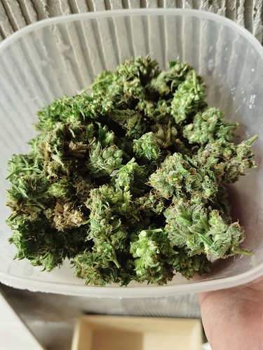 Growreport Bild 7