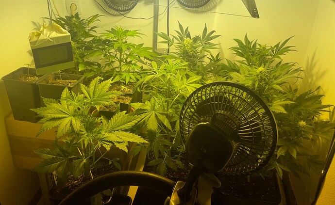 Growreport Bild 7