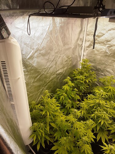 Growreport Bild 3