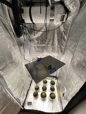 Growbox_1