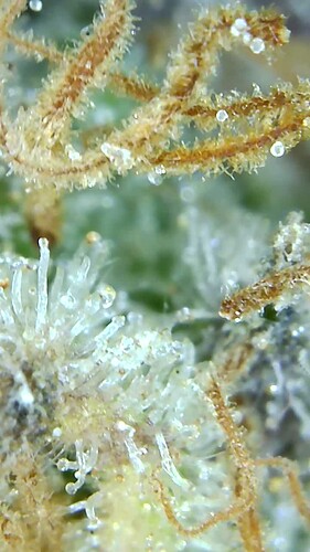 Growreport Bild 47