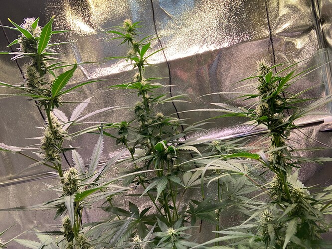 Growreport Bild 14