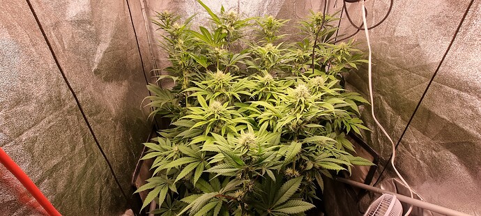Growreport Bild 12