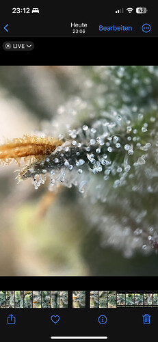 Growreport Bild 41
