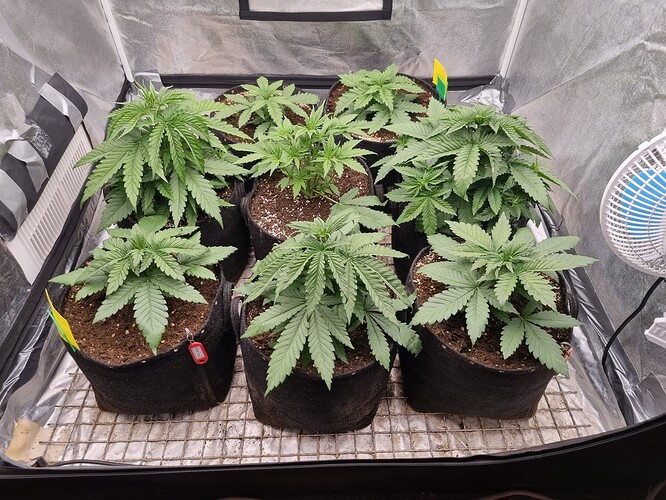 Growreport Bild 23