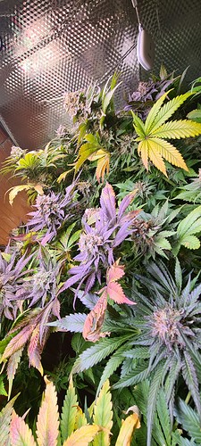 Growreport Bild 24