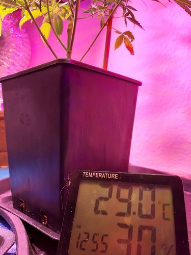 Growreport Bild 10