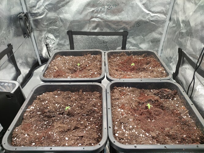 Growreport Bild 2